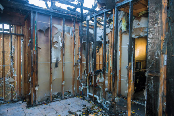 Professional Fire Damage Repair technician working in Palm Harbor, FL