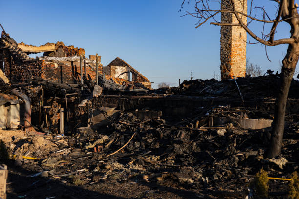 Reliable Fire Damage Repair contractor in Palm Harbor, FL by Fire Damage Flint