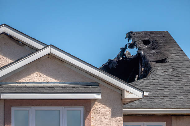 Top rated local Fire Damage Repair specialists in Palm Harbor, FL